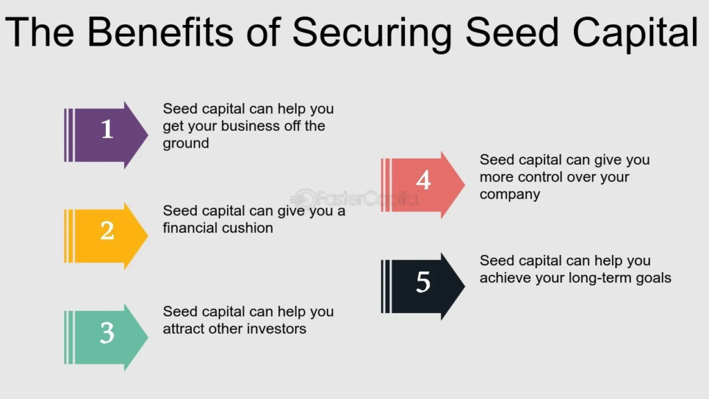 Benefits of securing seed funding