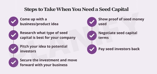 Seed funding steps