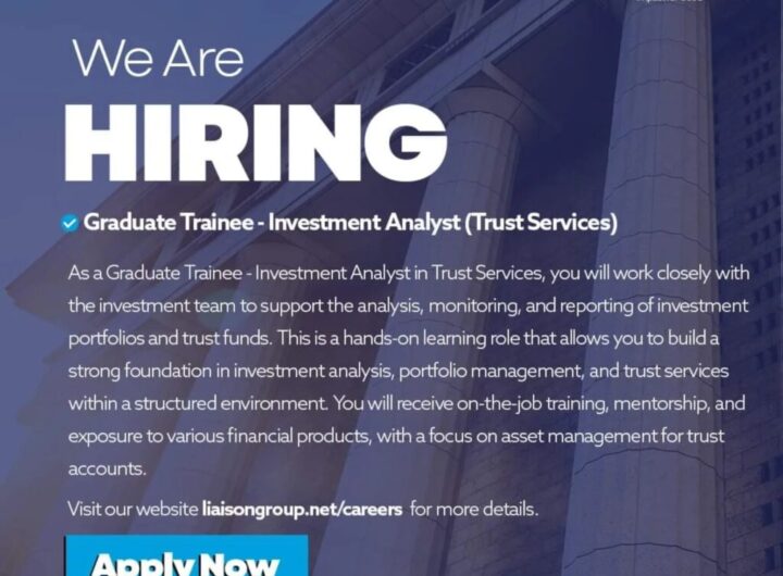 Investment analyst