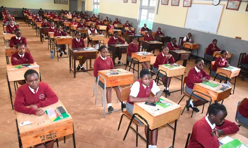 How to check your 2024 KCSE results online