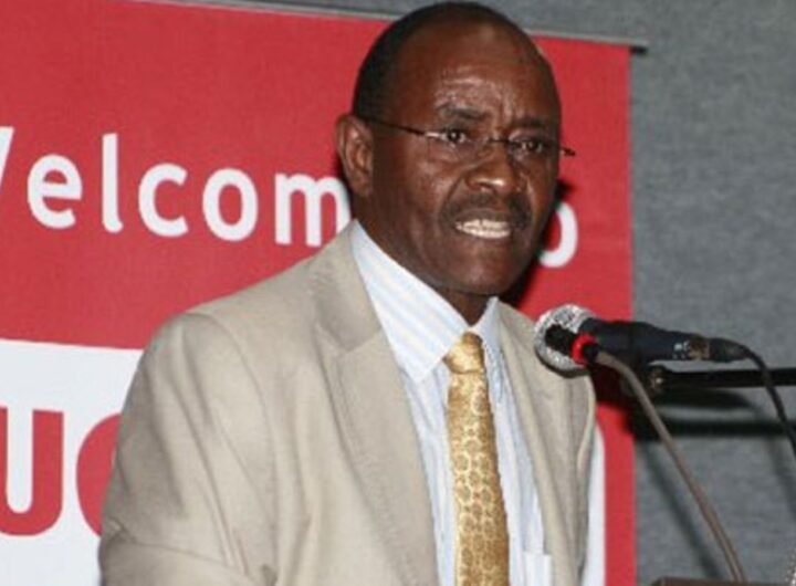 Speculative Trading Powers Uchumi Stock to the Top of NSE